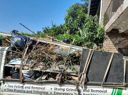Best Recycling Services for Junk  in Raynham Center, MA